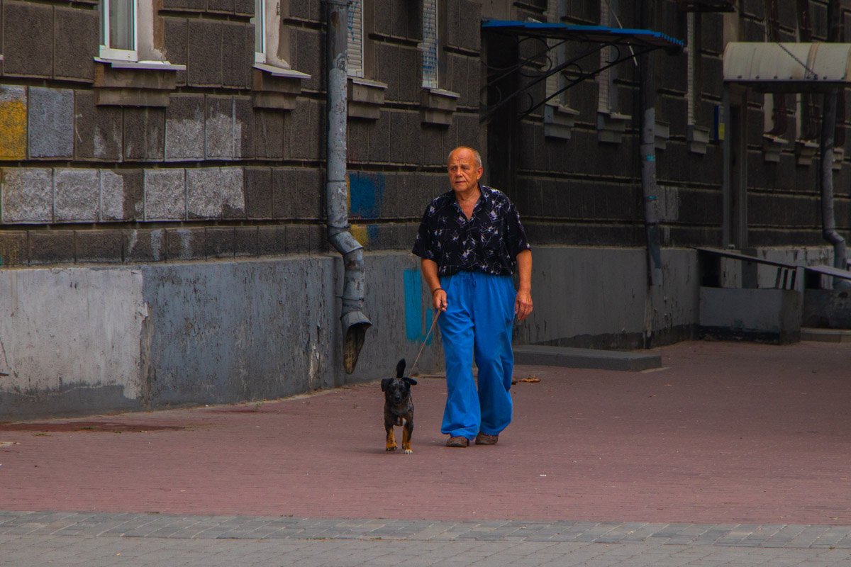 Прогулка домашнего питомца