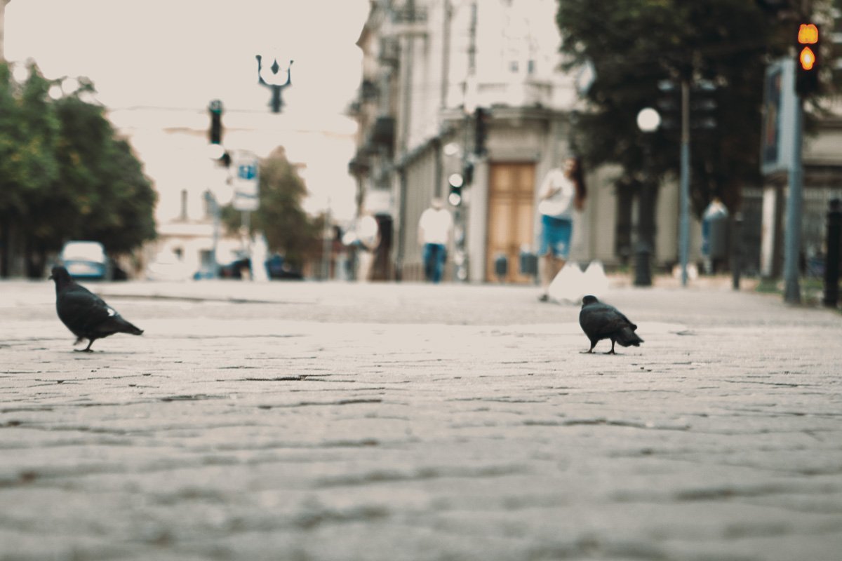 Хочется осени и какао, а не вот это вот все