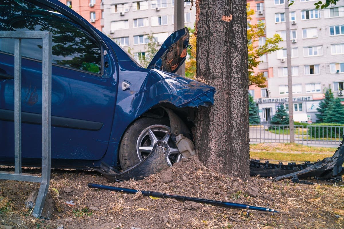 Renault врезался в дерево