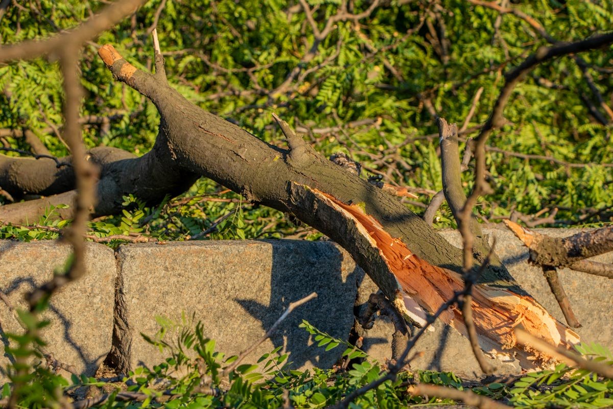 Никто не пострадал 