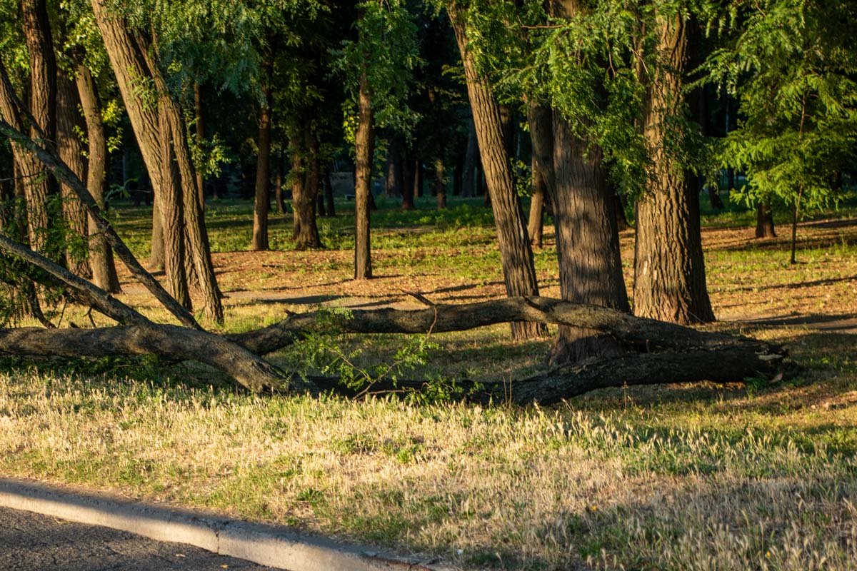 На месте ожидаются коммунальщики 