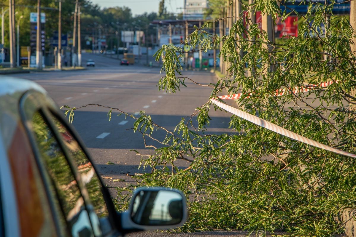 Автомобили могут спокойно проехать по этому участку дороги 