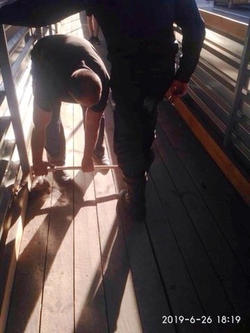 В Днепре котик застрял под деревянным полом временного пешеходного перехода В Днепре котик застрял под деревянным полом временного пешеходного перехода