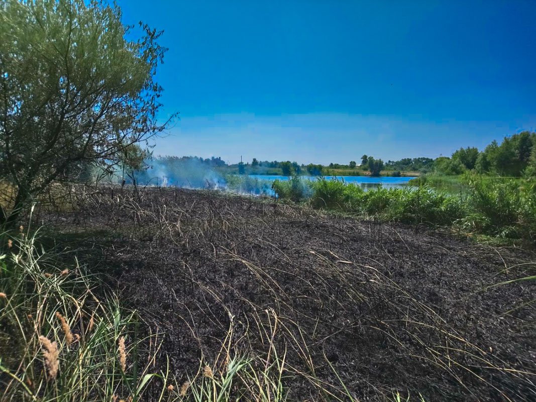 Возгорание произошло на выезде из города, перед виадуком, который ведет на Моторную, неподалеку от Полтавской трассы Возгорание произошло на выезде из города, перед виадуком, который ведет на Моторную, неподалеку от Полтавской трассы