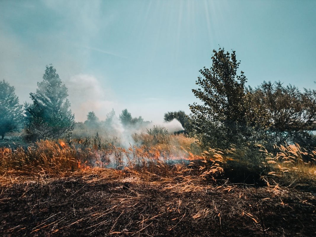 Сильный ветер способствовал распространению огня, поэтому ликвидировать возгорание быстро не удалось Сильный ветер способствовал распространению огня, поэтому ликвидировать возгорание быстро не удалось