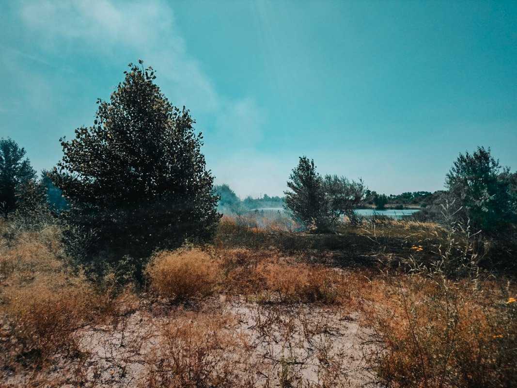 К 10:00 ветер стих и спасатели смогли локализовать пожар К 10:00 ветер стих и спасатели смогли локализовать пожар