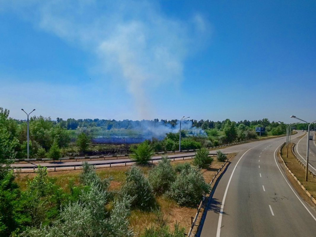 Сухой камыш выгорел достаточно быстро, а потому часть улицы затянул густой и едкий дым Сухой камыш выгорел достаточно быстро, а потому часть улицы затянул густой и едкий дым