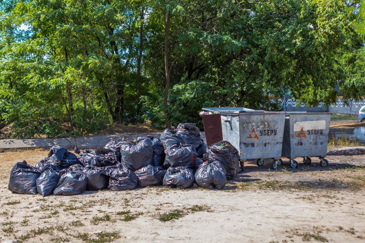 Теперь вывозить мусор отсюда будут каждую неделю по понедельникам