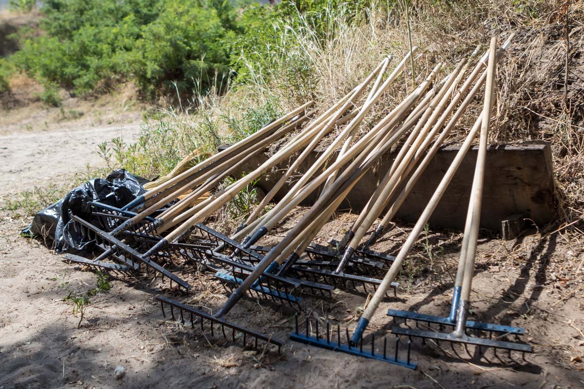 Судя по тому, как многие с энтузиазмом взялись за уборку, мероприятие здесь проходит явно не последний раз