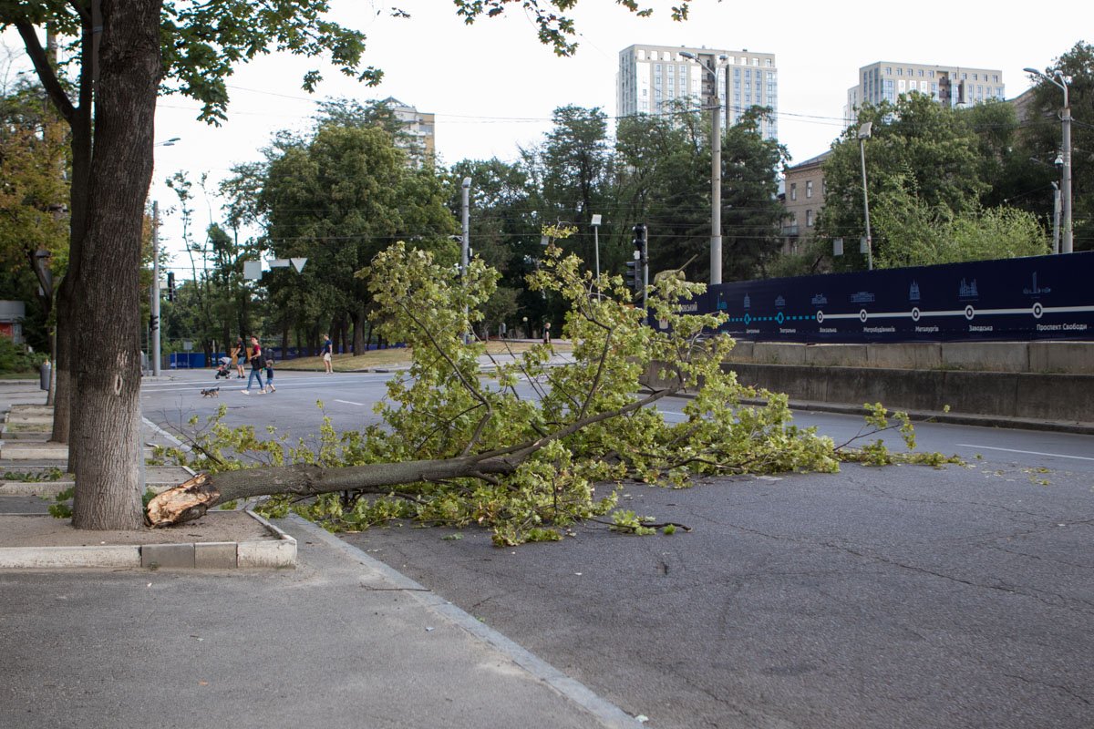 Дерево мешает проезду Дерево мешает проезду