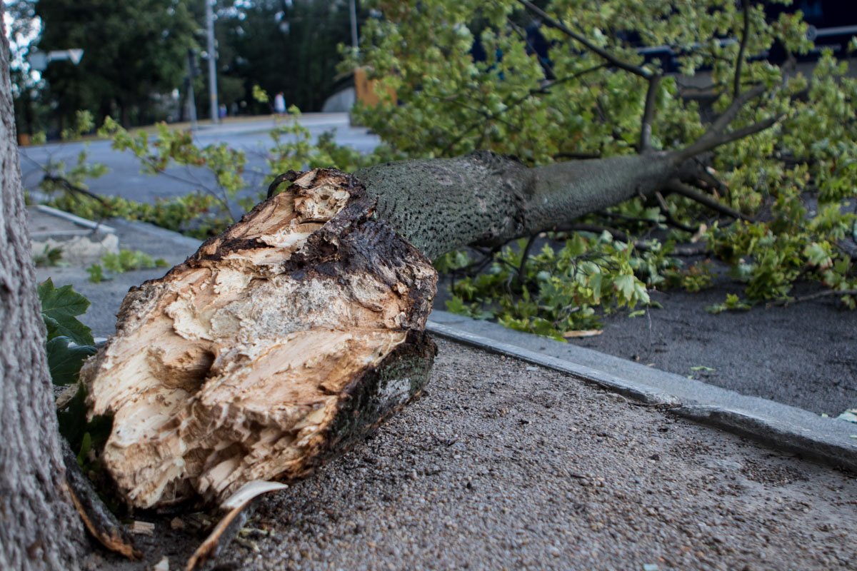 Никто не пострадал Никто не пострадал