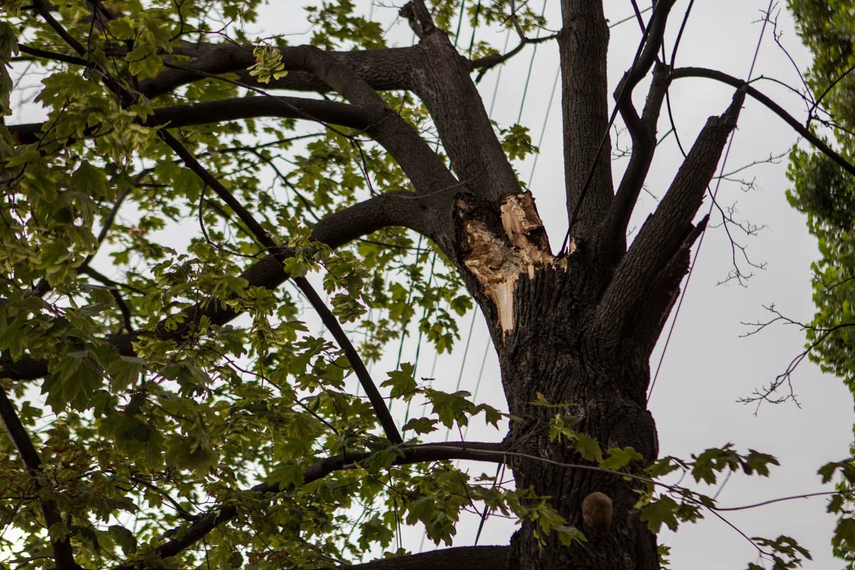 По состоянию на 18:40 коммунальщиков на месте не было По состоянию на 18:40 коммунальщиков на месте не было