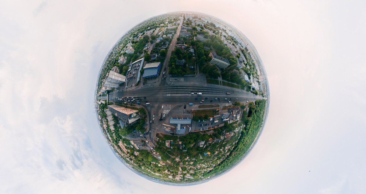 Мне нравятся деревья: по-моему, они лучше других умеют мириться с условиями жизни