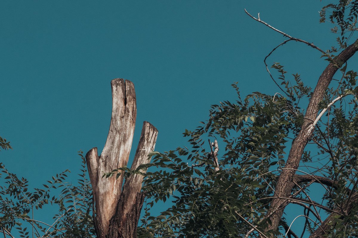 Как выглядит Днепр пасмурным воскресным днем 5