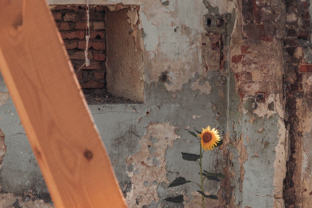 Как выглядит Днепр пасмурным воскресным днем 12