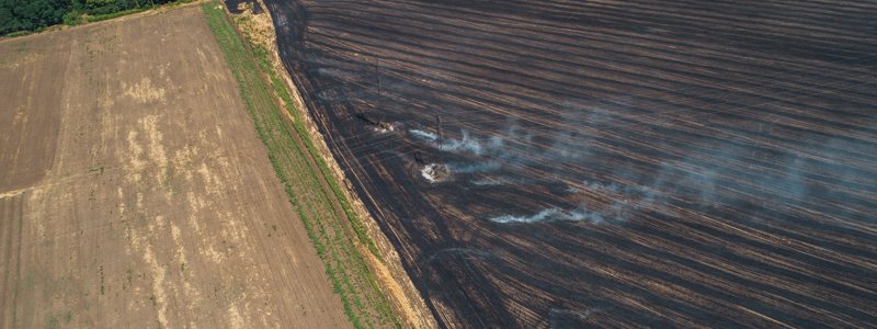 В Днепре горело огромное поле: появились фото с высоты