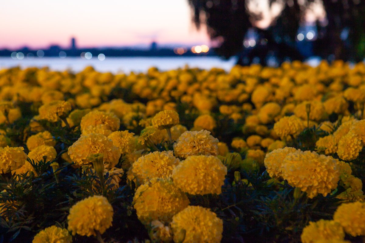 Ну красиво же Ну красиво же