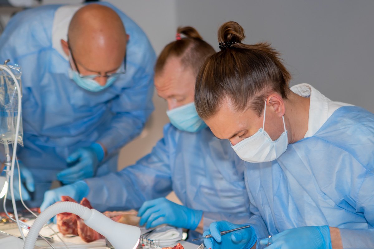 В Днепре центр Amel Dental Hub проводит лекции и занятия для стоматологов 6