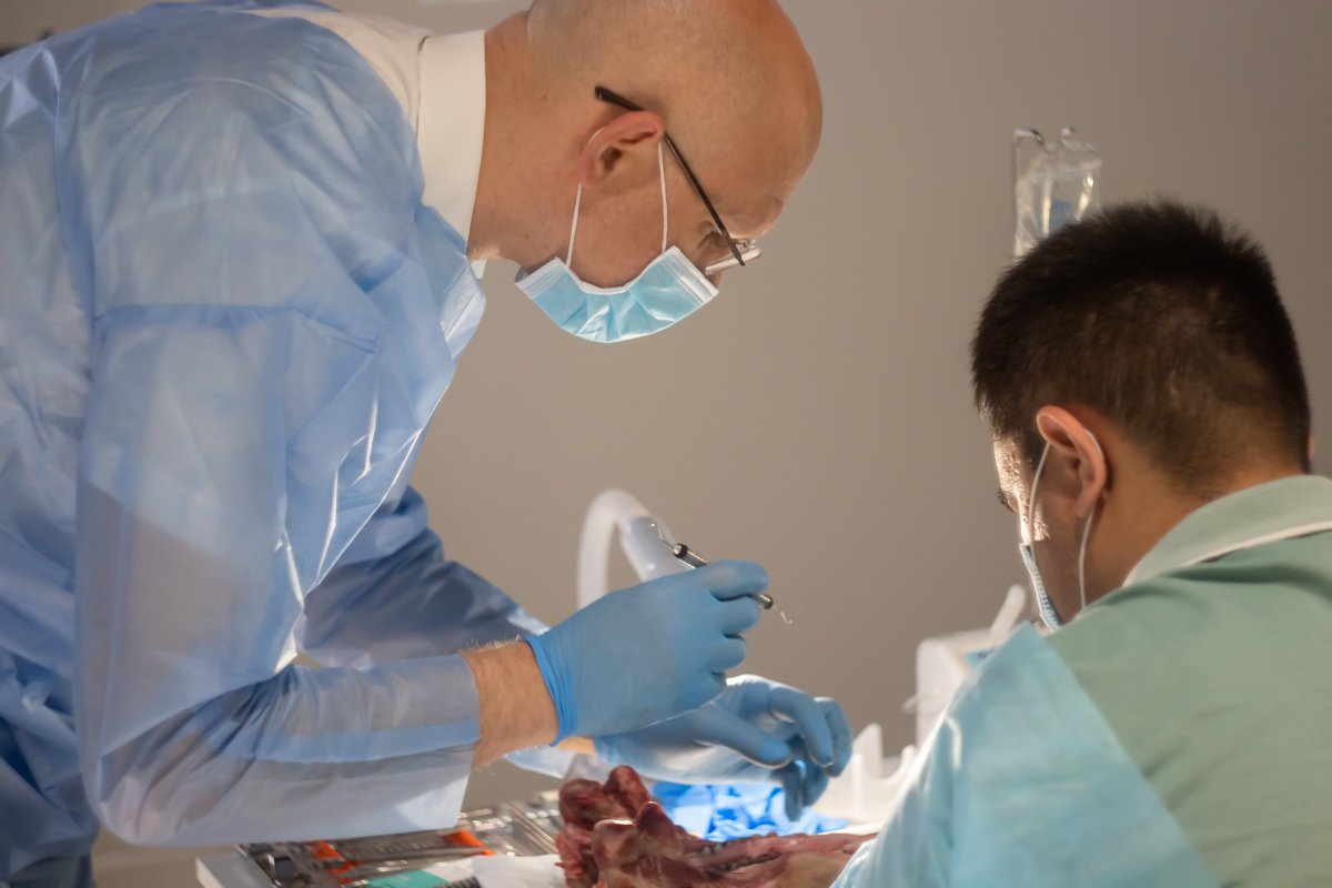 В Днепре центр Amel Dental Hub проводит лекции и занятия для стоматологов 8