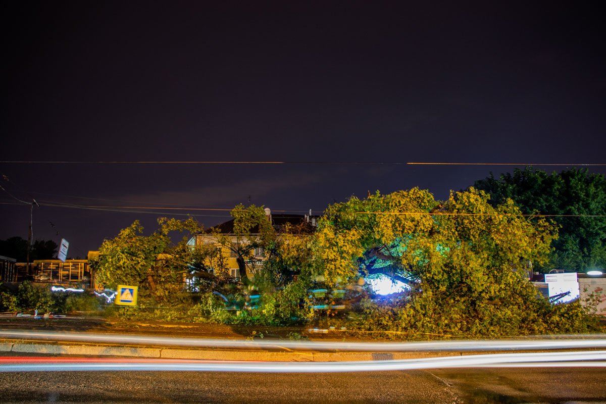 Фото: Александр Лаур Фото: Александр Лаур