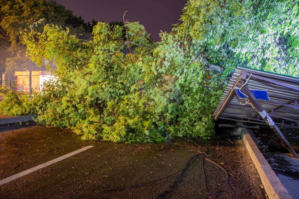 Спасатели распилили дерево Спасатели распилили дерево