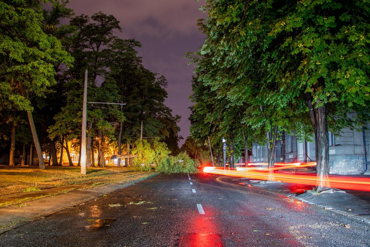 Деревья падали в разных районах города Деревья падали в разных районах города