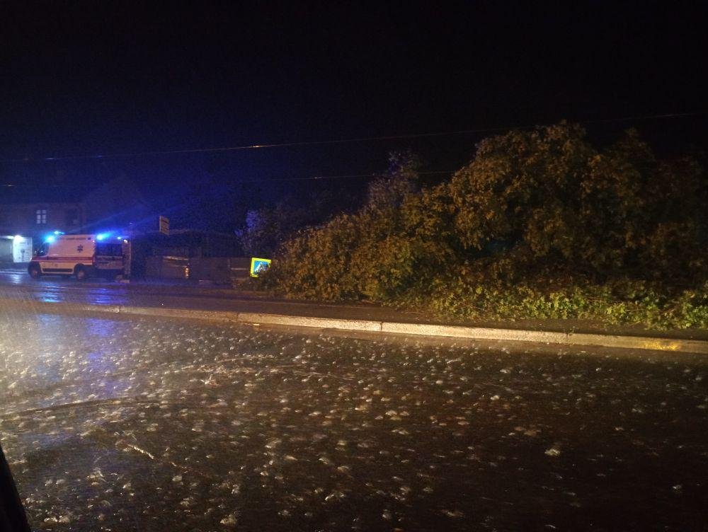 На Ивана Мазепы дерево упало на остановку На Ивана Мазепы дерево упало на остановку