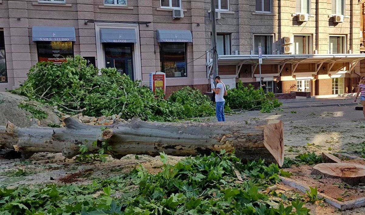 На это коммунальщикам понадобилась всего лишь ночь На это коммунальщикам понадобилась всего лишь ночь