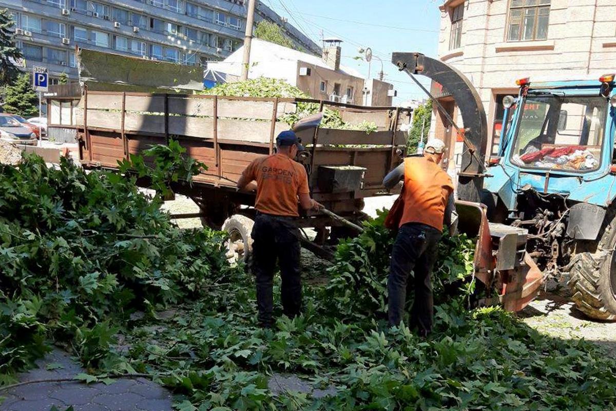 Деревья срезают для того, чтобы безопасно переложить все коммуникационные сети Деревья срезают для того, чтобы безопасно переложить все коммуникационные сети