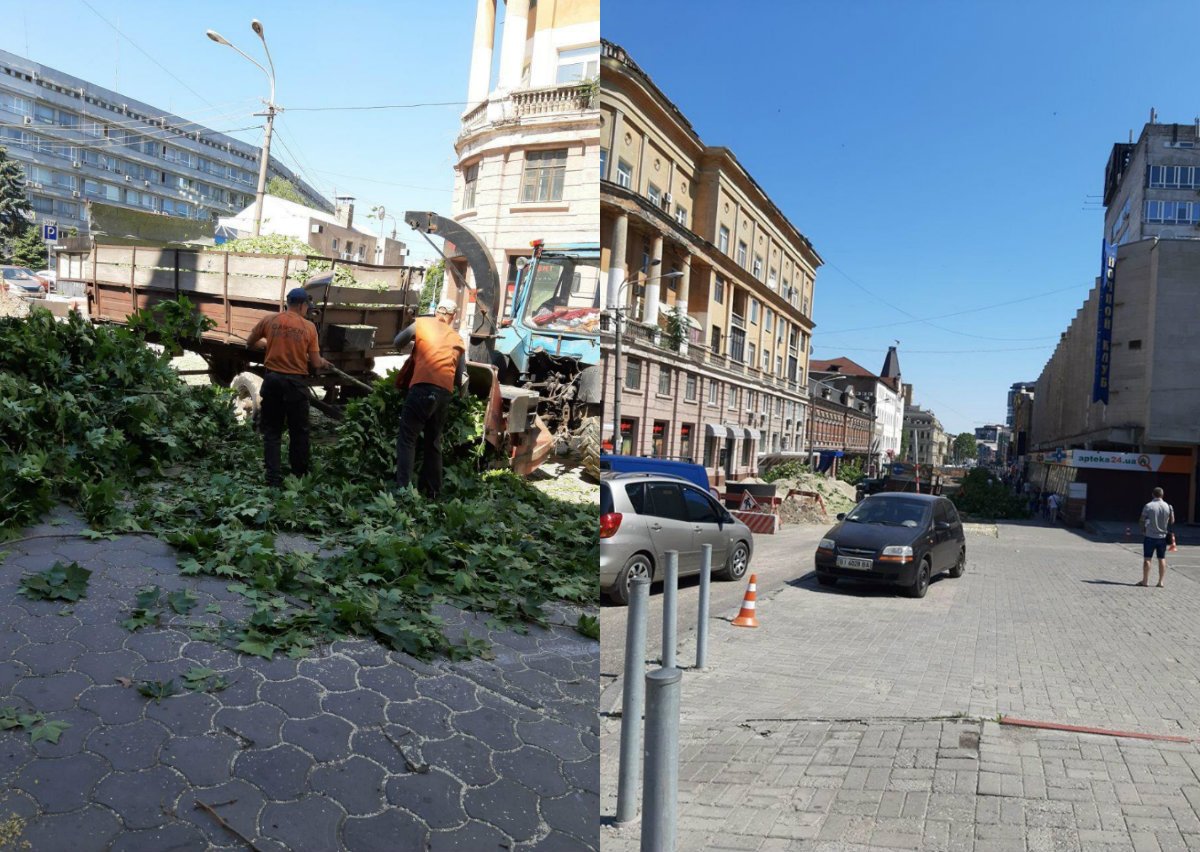 На ситуацию не смогли повлиять ни митинги, ни протесты, ни созданная против обрезки деревьев петиция На ситуацию не смогли повлиять ни митинги, ни протесты, ни созданная против обрезки деревьев петиция