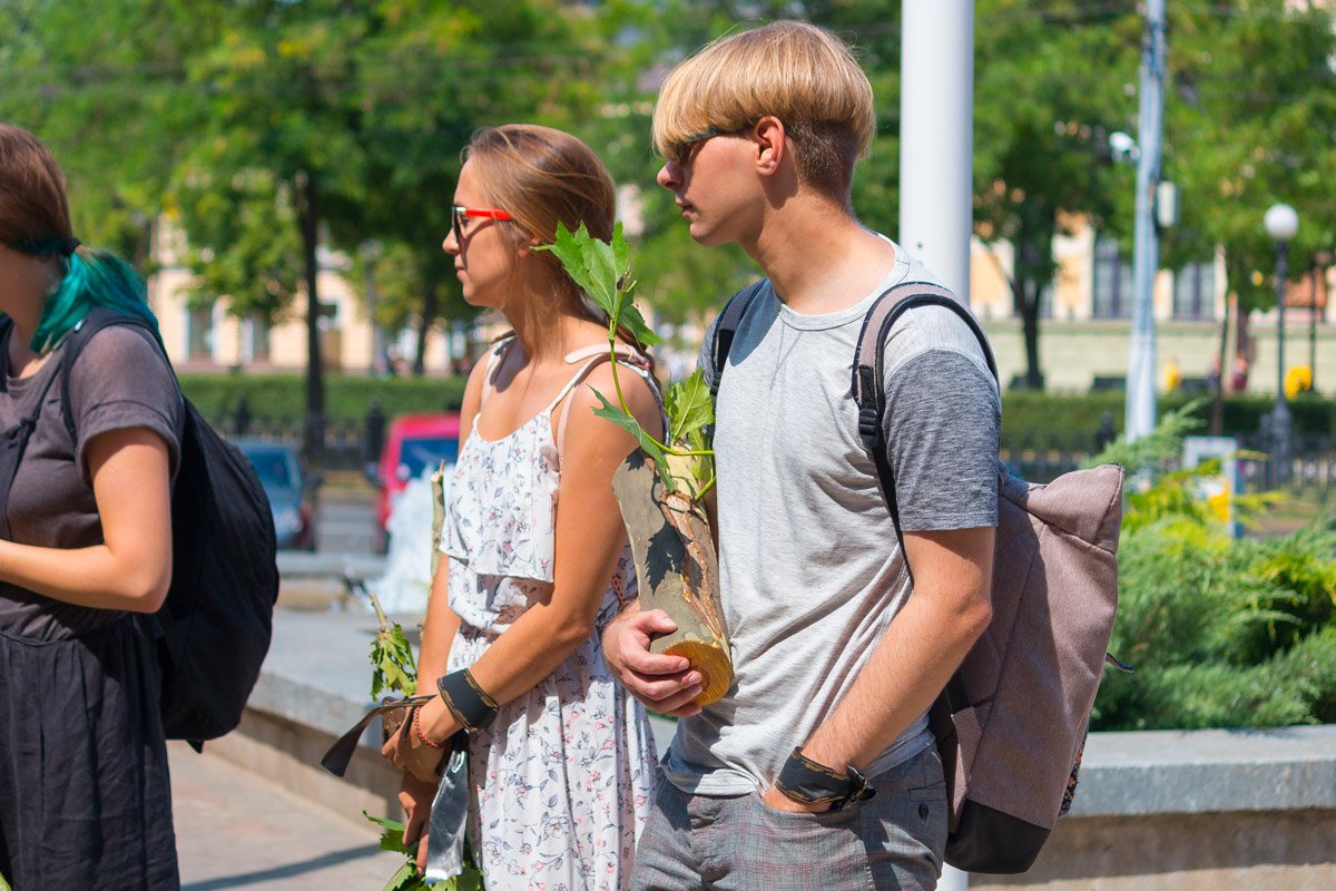 Маленький платанчик Маленький платанчик