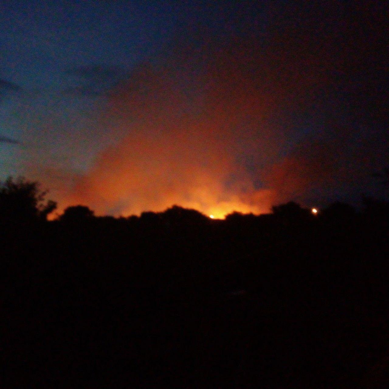 Площадь пожара составляет около 3 гектаров Площадь пожара составляет около 3 гектаров