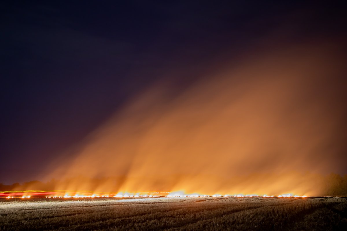 Масштабный пожар уничтожил более 3 гектаров поля