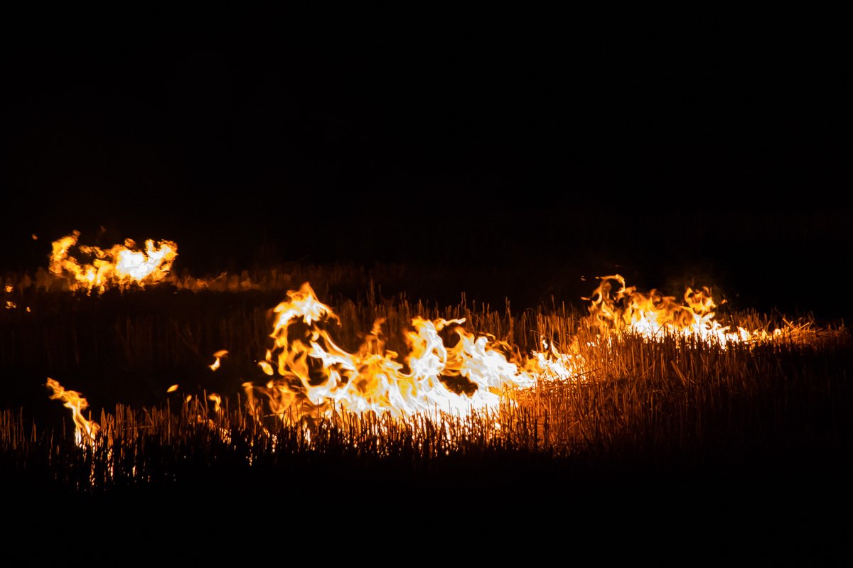 В поле горела стерня 