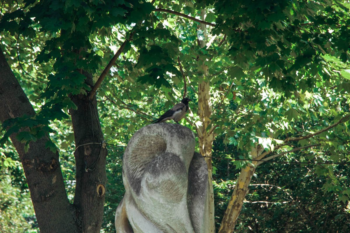 Узнавайте больше