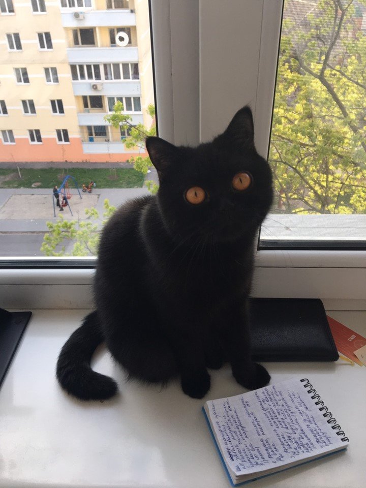 Найдись Найдись