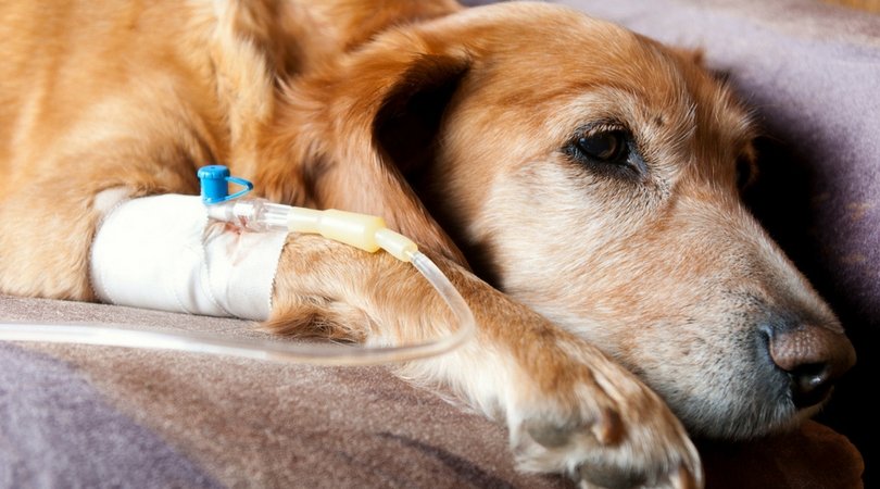 Пожалуйста, будьте людьми Пожалуйста, будьте людьми
