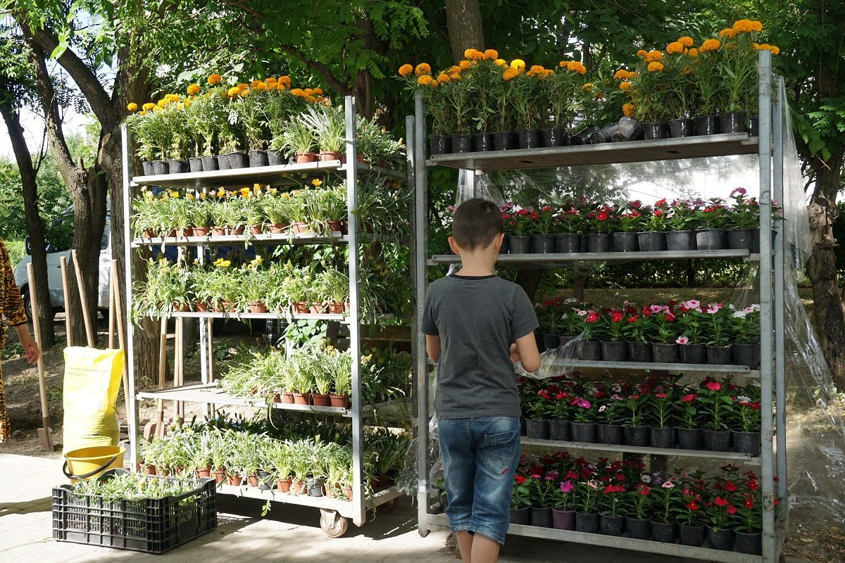 «Социальная реконструкция»: на жилмассивах Днепра на месте пустырей и свалок создают скверы 3