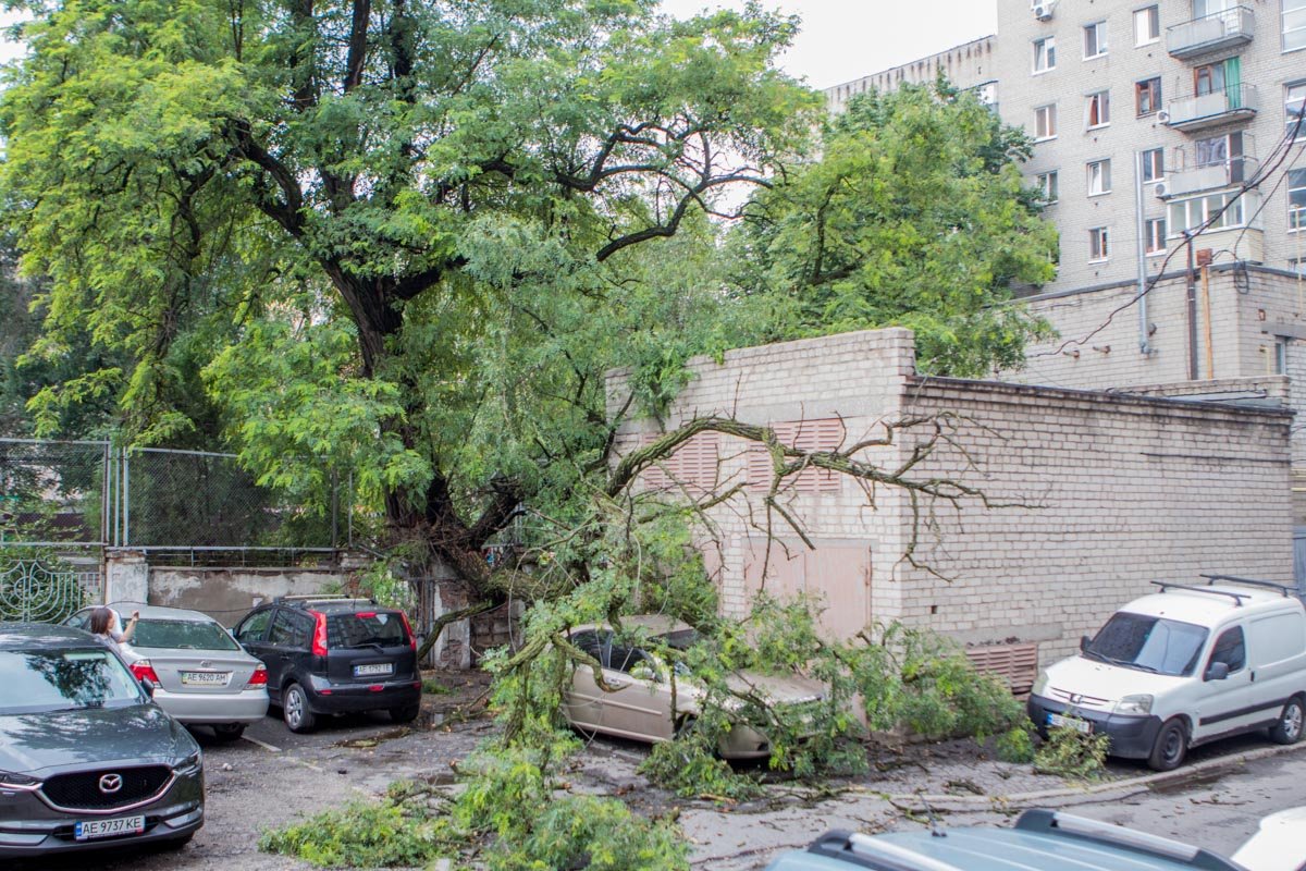 Происшествие обошлось без жертв Происшествие обошлось без жертв
