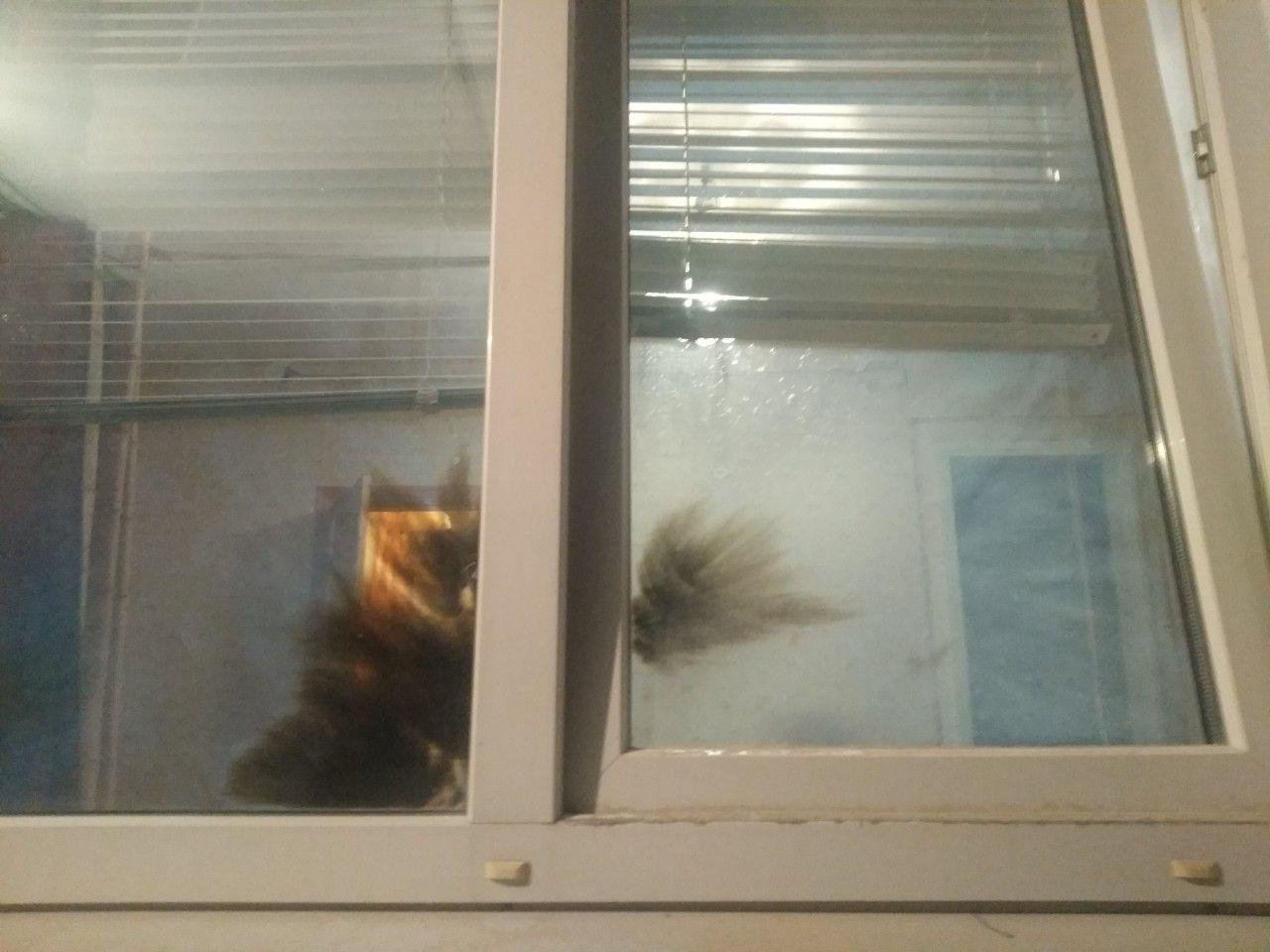 В доме прогремел взрыв, а затем начался пожар В доме прогремел взрыв, а затем начался пожар