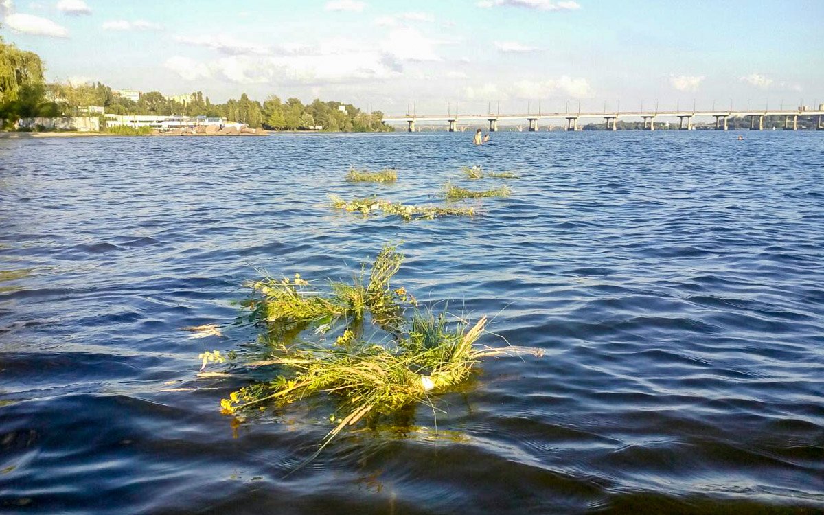 Купальские венки плетутся из сорока трав