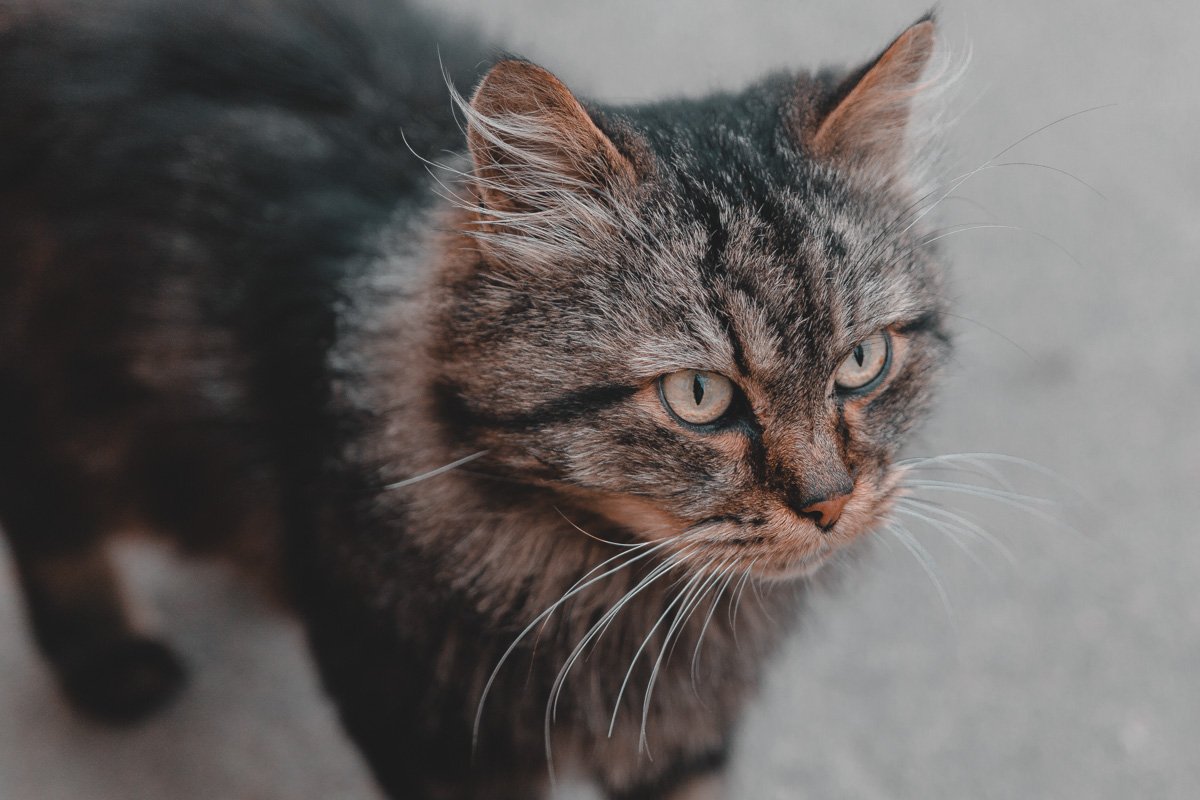 Помню все, что хочу забыть. Забываю все, что хочу запомнить