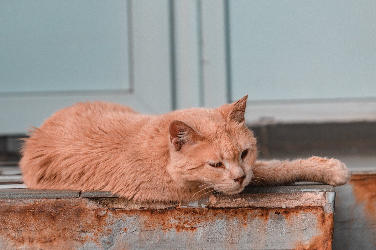 Ему плевать, какой у тебя крутой фотоаппарат. Да и в принципе ему плевать на тебя