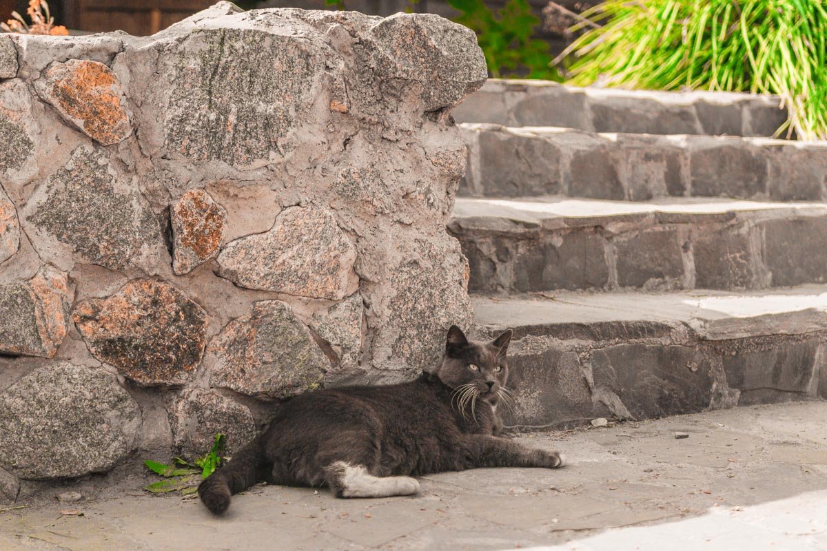 Не ленивый, а энергосберегающий