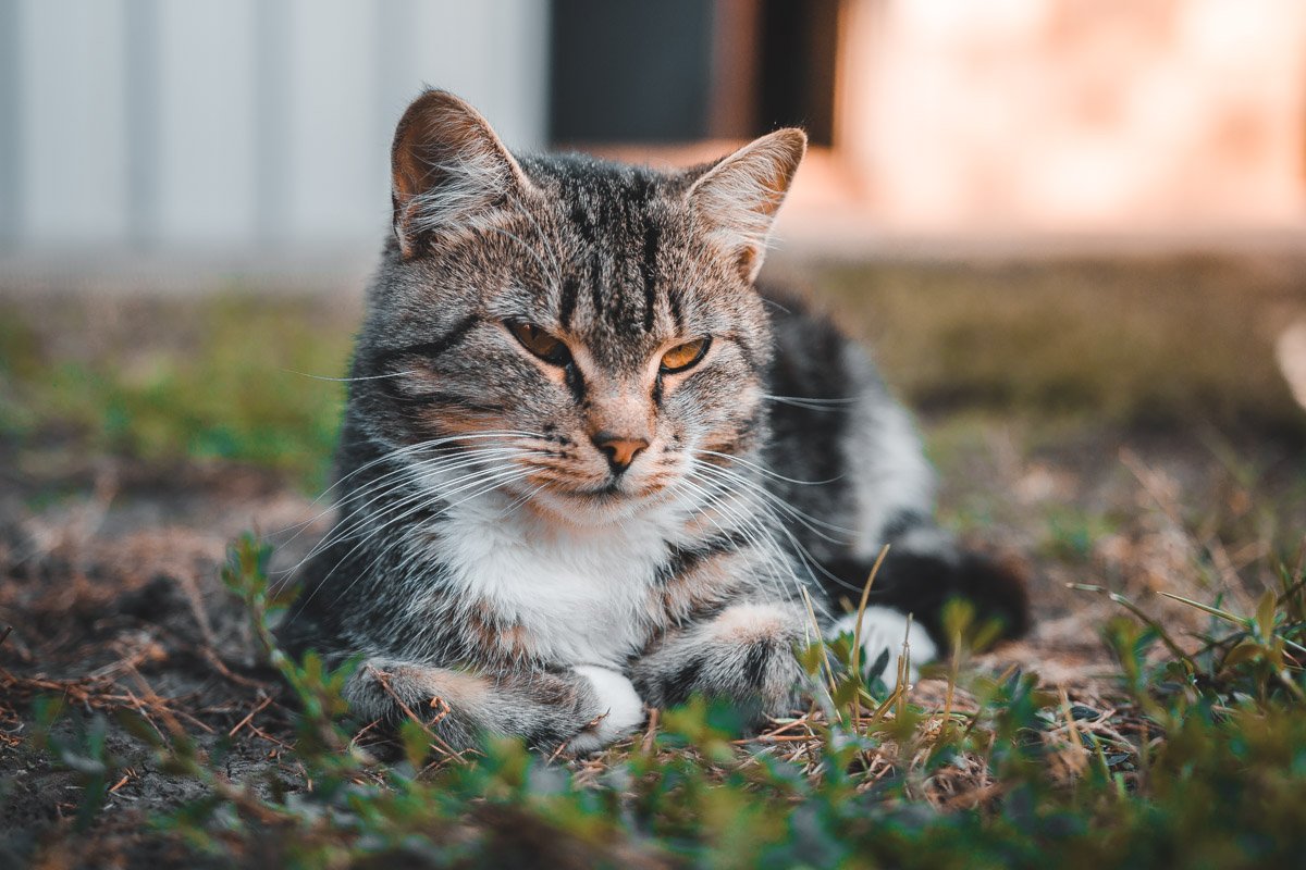Спит с твоей девушкой