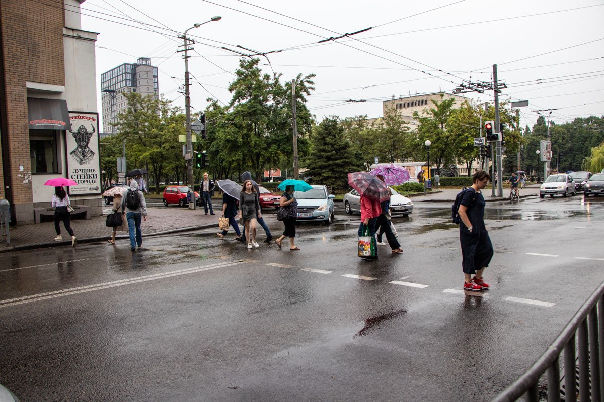 Да по листьям склонившихся вишен. Да по листьям склонившихся вишен.