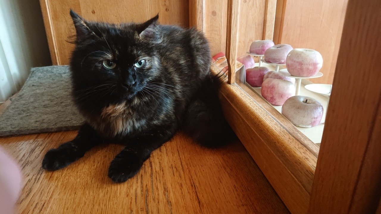 Возможно, это ваш Возможно, это ваш