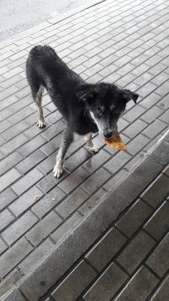 Не ваш ли? Не ваш ли?