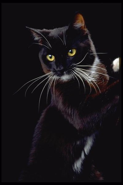 Помогите найти Помогите найти