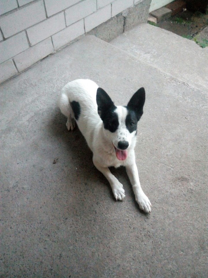 Я потерялся Я потерялся